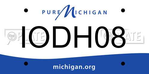 IODH08 Michigan License Plate