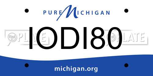IODI80 Michigan License Plate