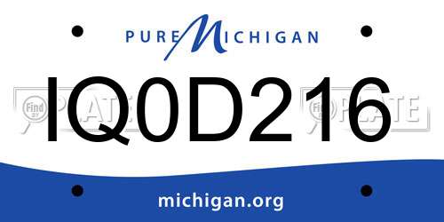 IQ0D216 Michigan License Plate