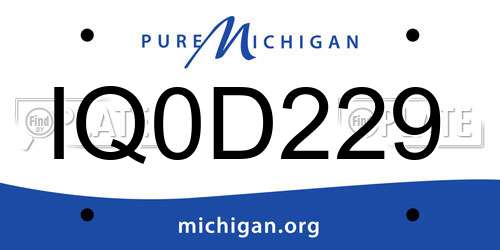IQ0D229 Michigan License Plate