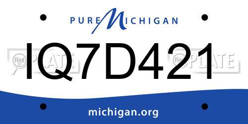 IQ7D421 Michigan License Plate