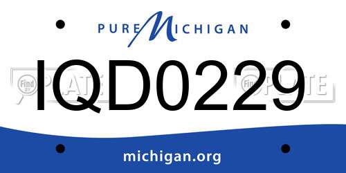 IQD0229 Michigan License Plate