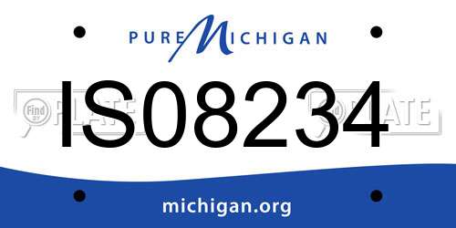 IS08234 Michigan License Plate