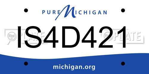 IS4D421 Michigan License Plate