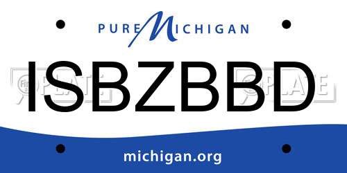 ISBZBBD Michigan License Plate