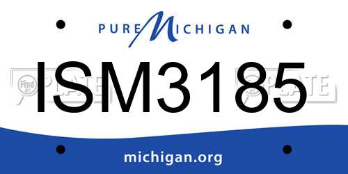 ISM3185 Michigan License Plate