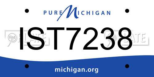 IST7238 Michigan License Plate