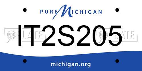 IT2S205 Michigan License Plate