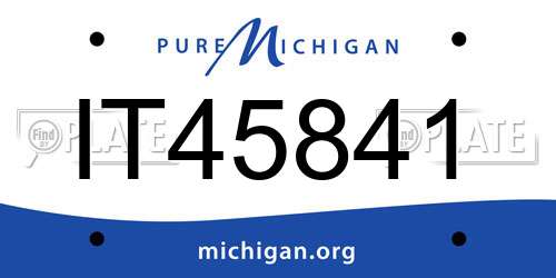 IT45841 Michigan License Plate