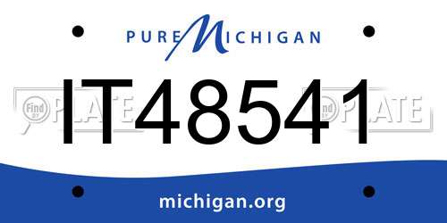 IT48541 Michigan License Plate