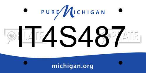 IT4S487 Michigan License Plate