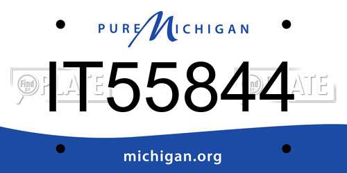 IT55844 Michigan License Plate
