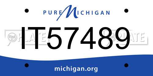 IT57489 Michigan License Plate
