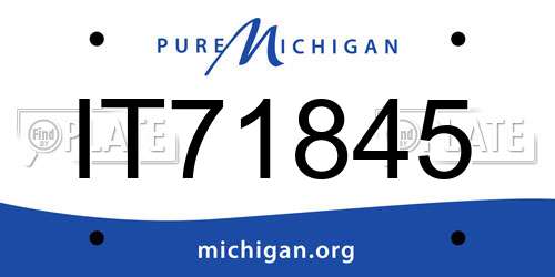 IT71845 Michigan License Plate