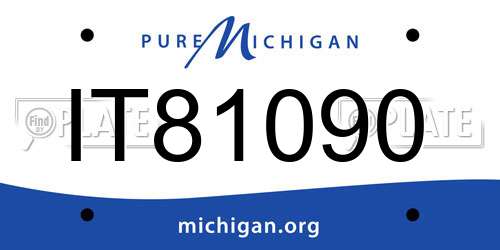 IT81090 Michigan License Plate