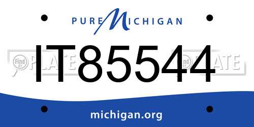IT85544 Michigan License Plate