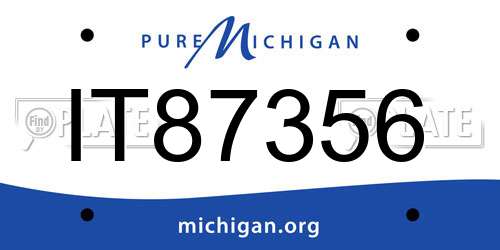 IT87356 Michigan License Plate
