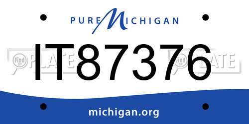 IT87376 Michigan License Plate
