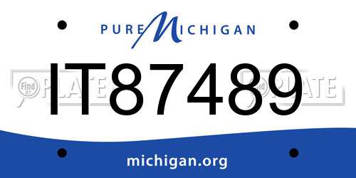 IT87489 Michigan License Plate