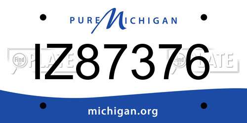 IZ87376 Michigan License Plate