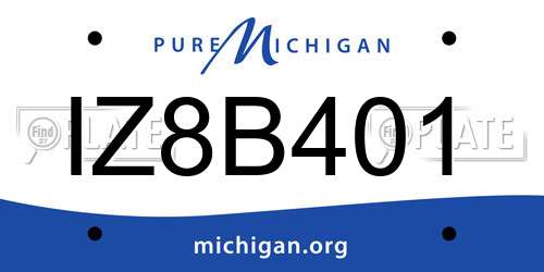 IZ8B401 Michigan License Plate