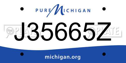 J35665Z Michigan License Plate