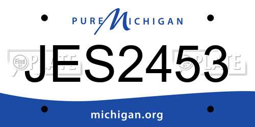 JES2453 Michigan License Plate