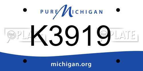 K3919 Michigan License Plate