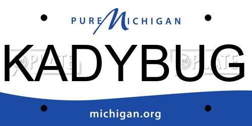 KADYBUG Michigan License Plate