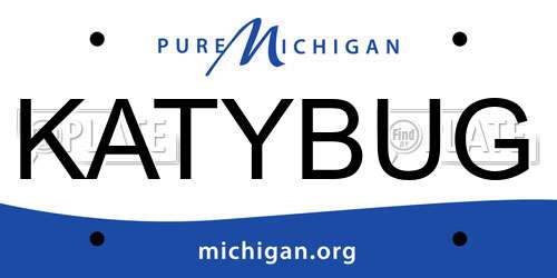 KATYBUG Michigan License Plate