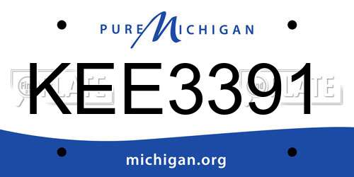 KEE3391 Michigan License Plate