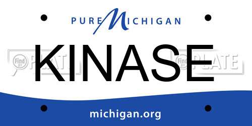 KINASE Michigan License Plate