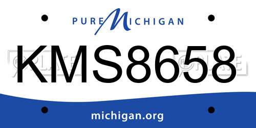 KMS8658 Michigan License Plate