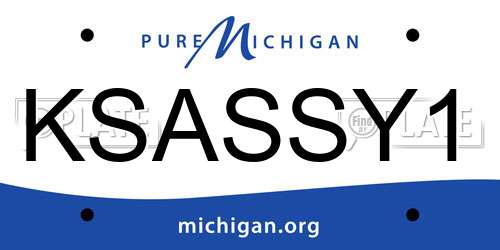 KSASSY1 Michigan License Plate