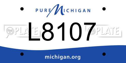 L8107 Michigan License Plate