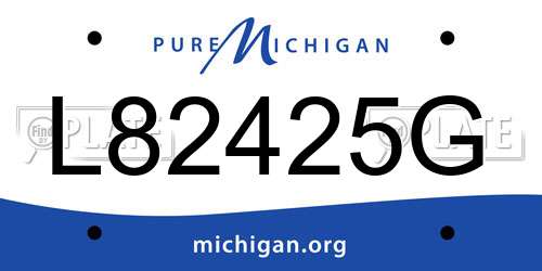 L82425G Michigan License Plate
