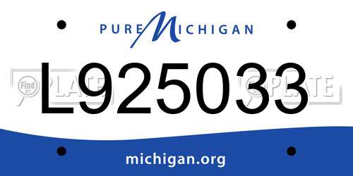 L925033 Michigan License Plate