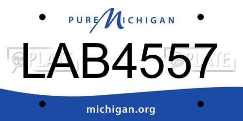 LAB4557 Michigan License Plate