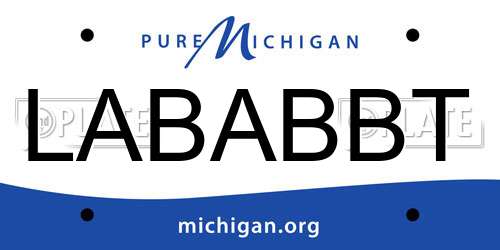 LABABBT Michigan License Plate