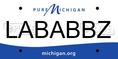 LABABBZ Michigan License Plate