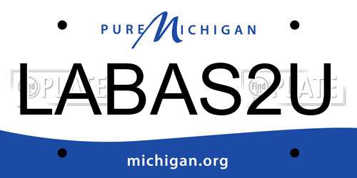 LABAS2U Michigan License Plate