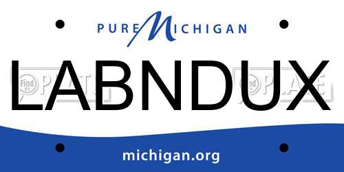 LABNDUX Michigan License Plate