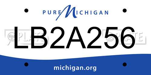 LB2A256 Michigan License Plate