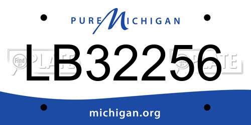 LB32256 Michigan License Plate