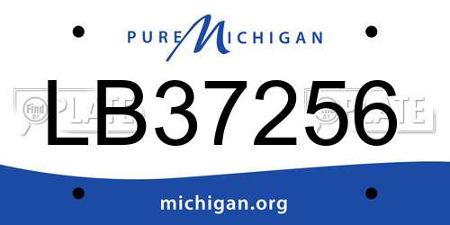 LB37256 Michigan License Plate