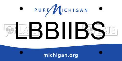 LBBIIBS Michigan License Plate