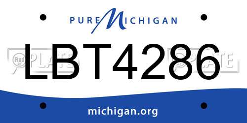 LBT4286 Michigan License Plate