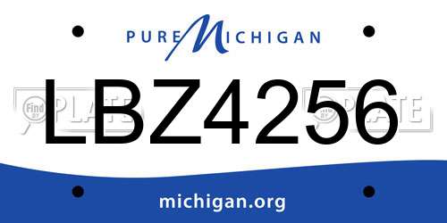 LBZ4256 Michigan License Plate
