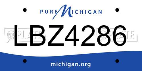 LBZ4286 Michigan License Plate
