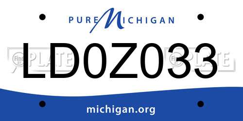 LD0Z033 Michigan License Plate